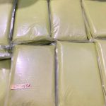 Stock