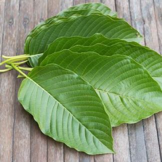 kratom-leaf