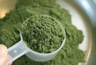maanfaat daun kratom bagi kesehatan