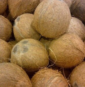 husked coconut