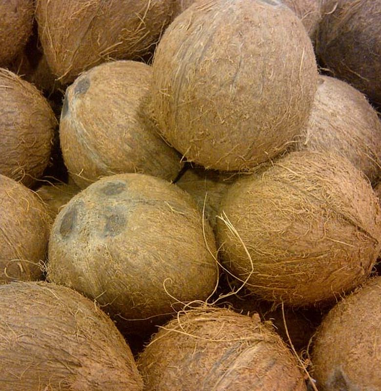 husked coconut