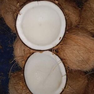 husked coconut content