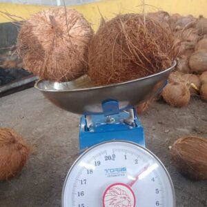 husked coconut weight