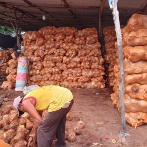 husked coconut warehouse