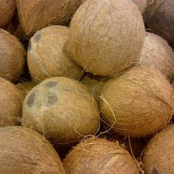 husked coconut